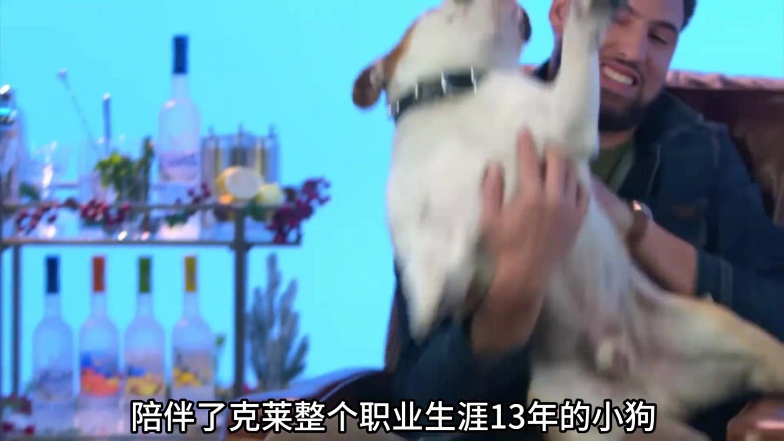 陪伴克萊13年的小狗去世了，不敢相信克萊得多么傷心